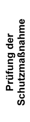 Pr&uuml;fung der Schutzma&szlig;nahme